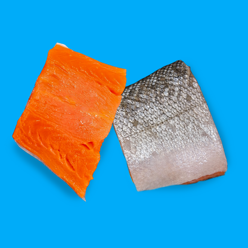 Frozen wild coho Alaskan salmon fillets