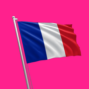 french flag.png