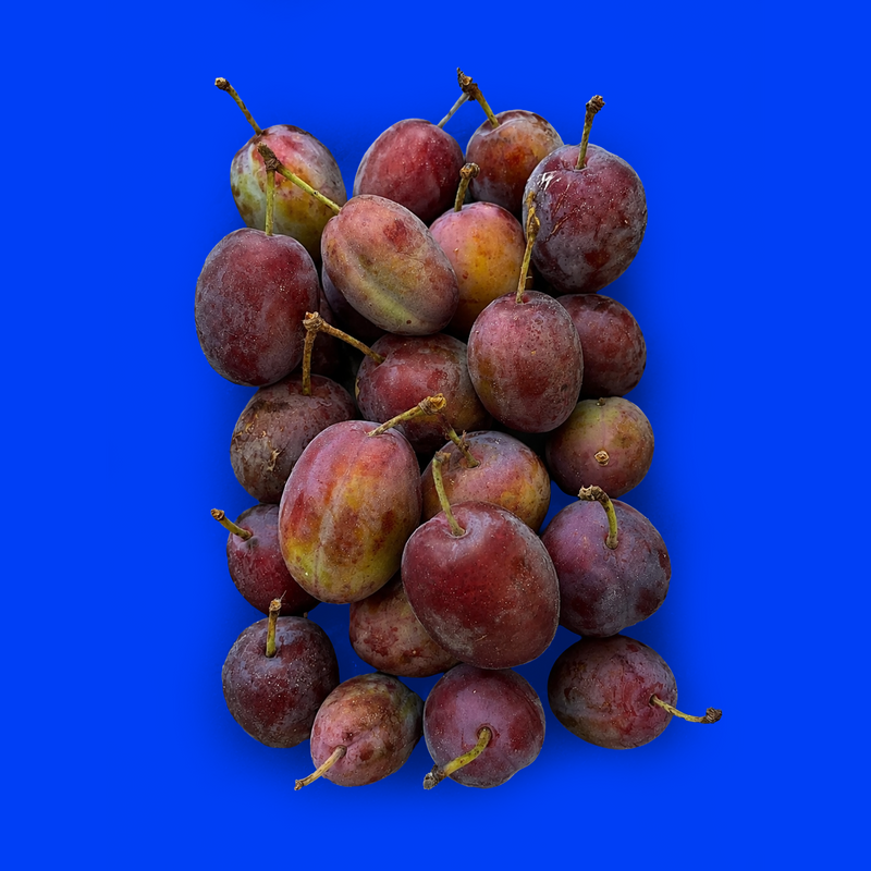 English plums