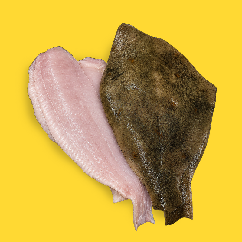 Frozen wild flounder fillets