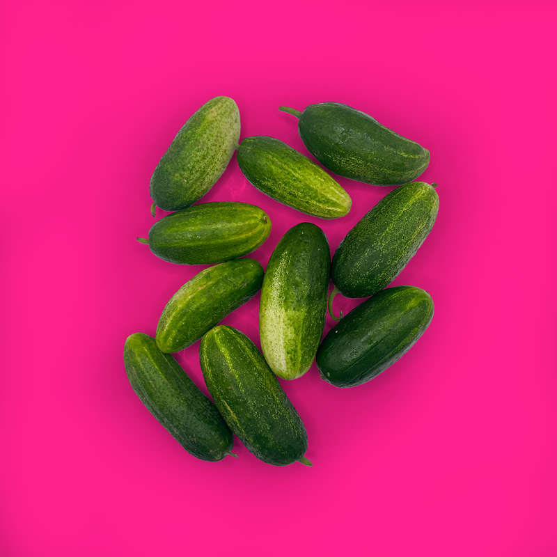 Organic gherkin cucumbers