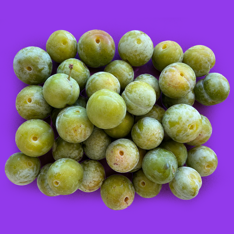 Greengages
