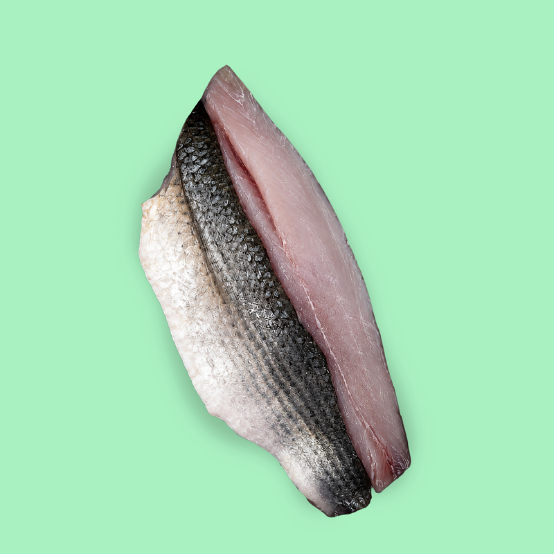 Frozen wild grey mullet fillets