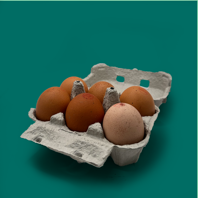 Organic eggs