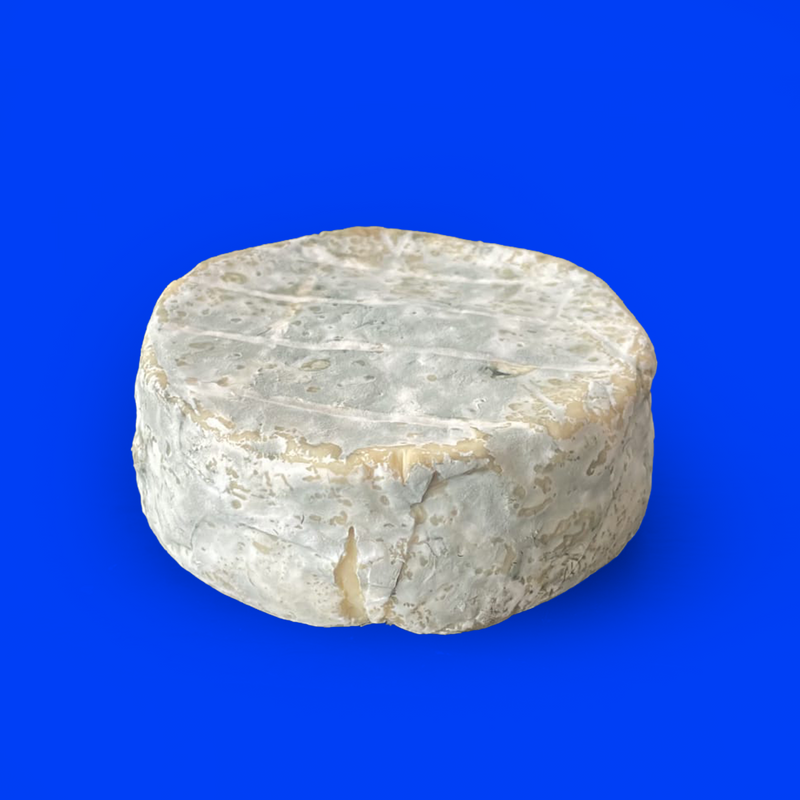Isle of Wight blue