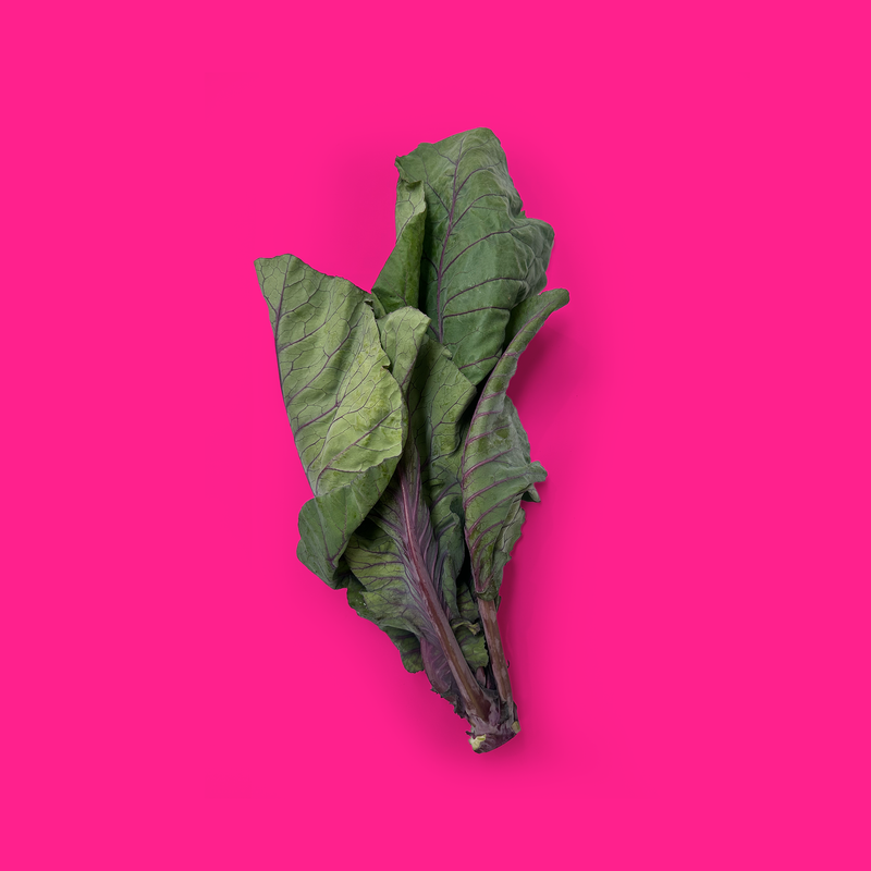 Organic Kalibos cabbage