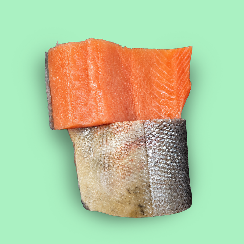 Frozen wild keta Alaskan salmon fillets