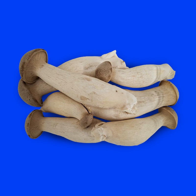 King oyster mushrooms
