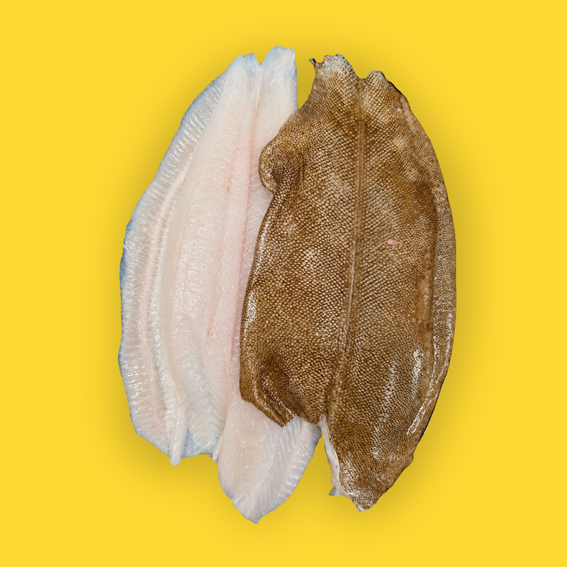 Frozen wild lemon sole fillets