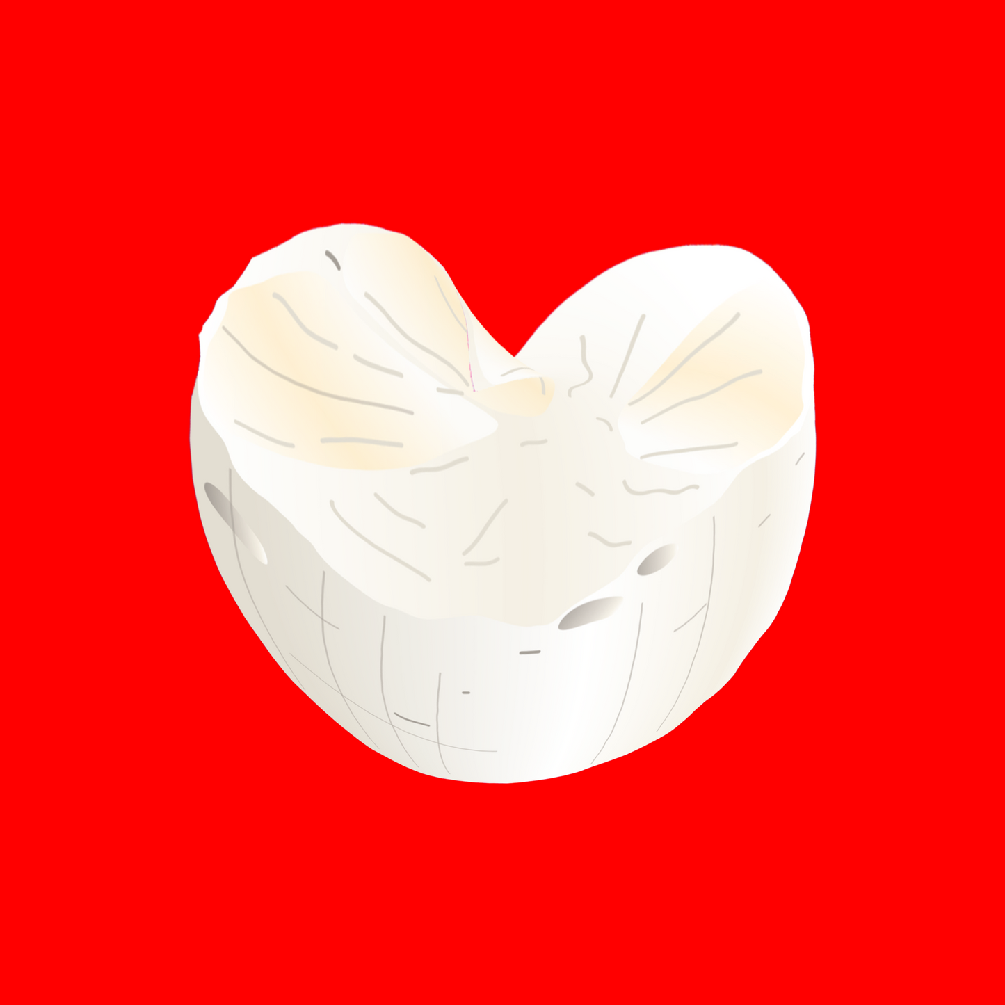 Truffle brie