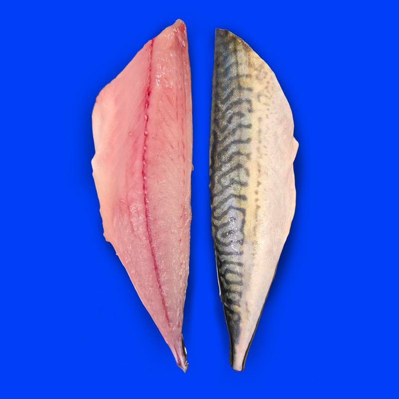 Line caught wild mackerel fillets