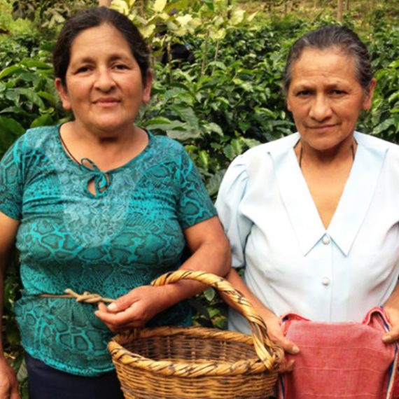 Organic Peruvian ground coffee