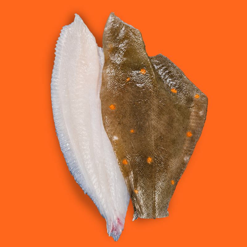 Frozen wild plaice fillets