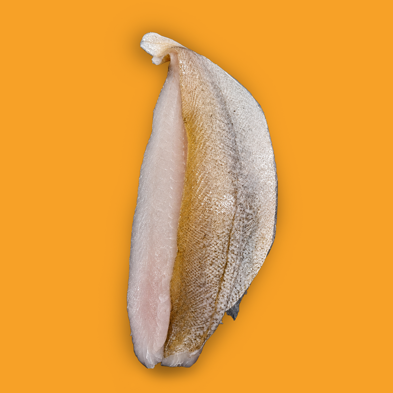 Frozen wild pout fillets