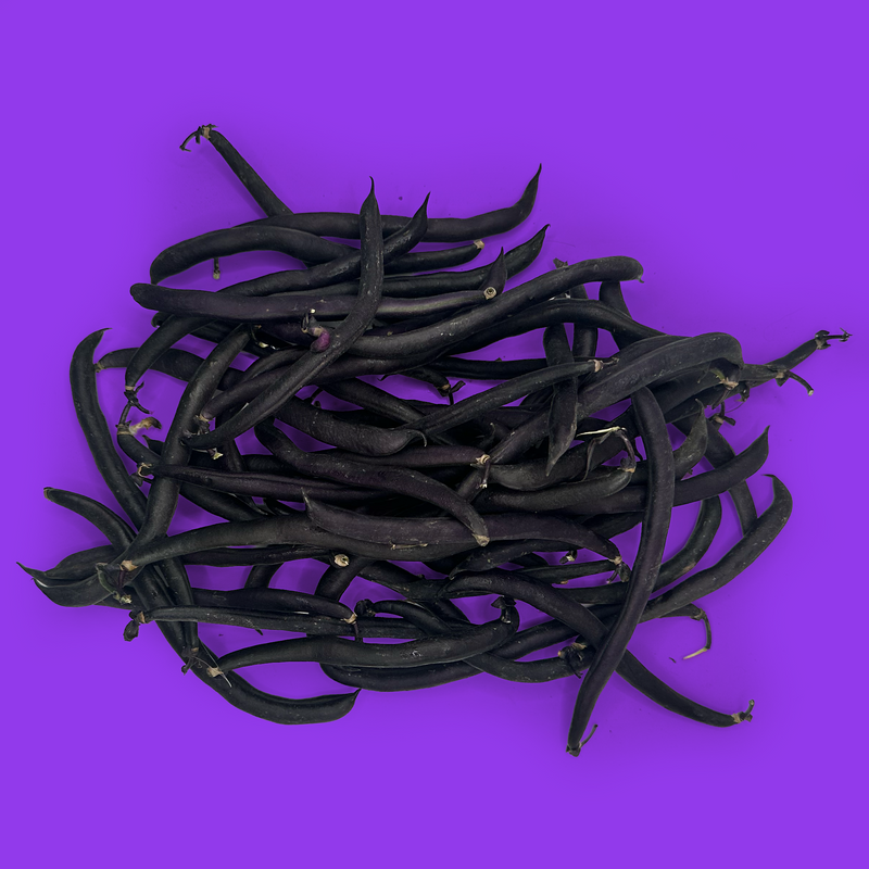 Organic purple French beans