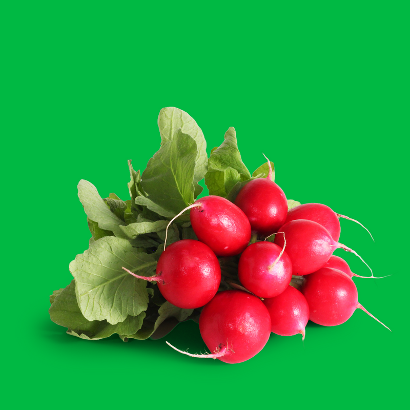 Organic red radish