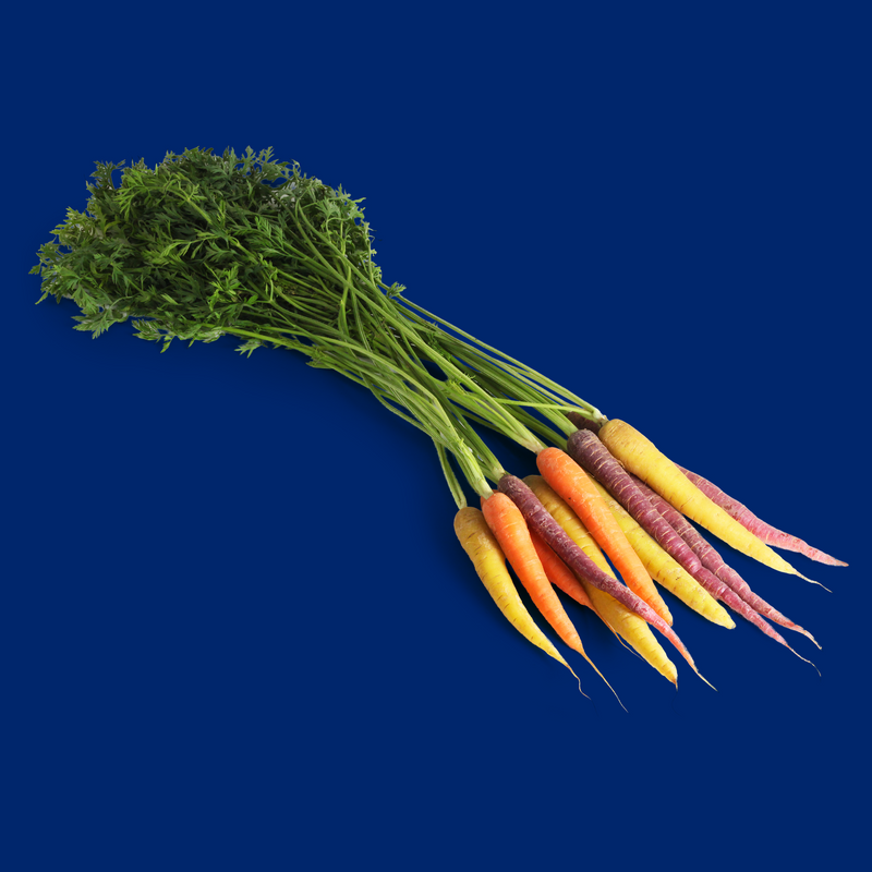 Organic bunched rainbow carrots