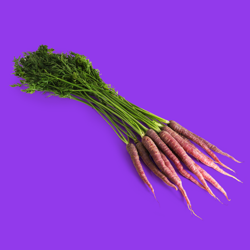 Organic bunched purple carrots