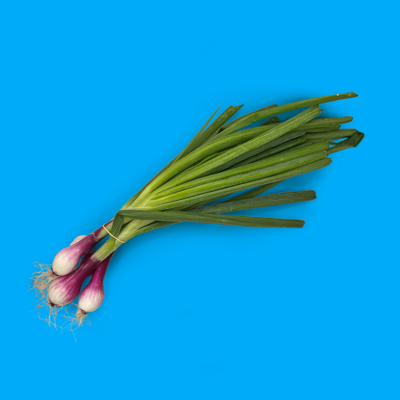 Organic red salad onions