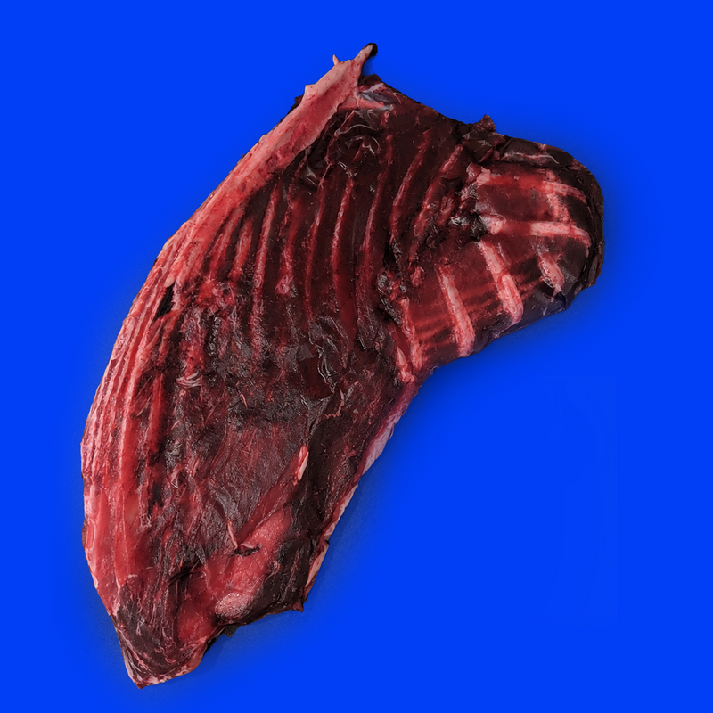 Ike jime line caught wild bluefin tuna ribs