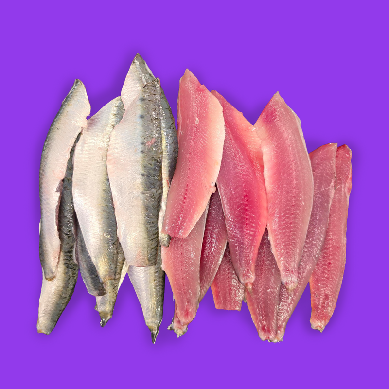 Frozen wild sardine fillets