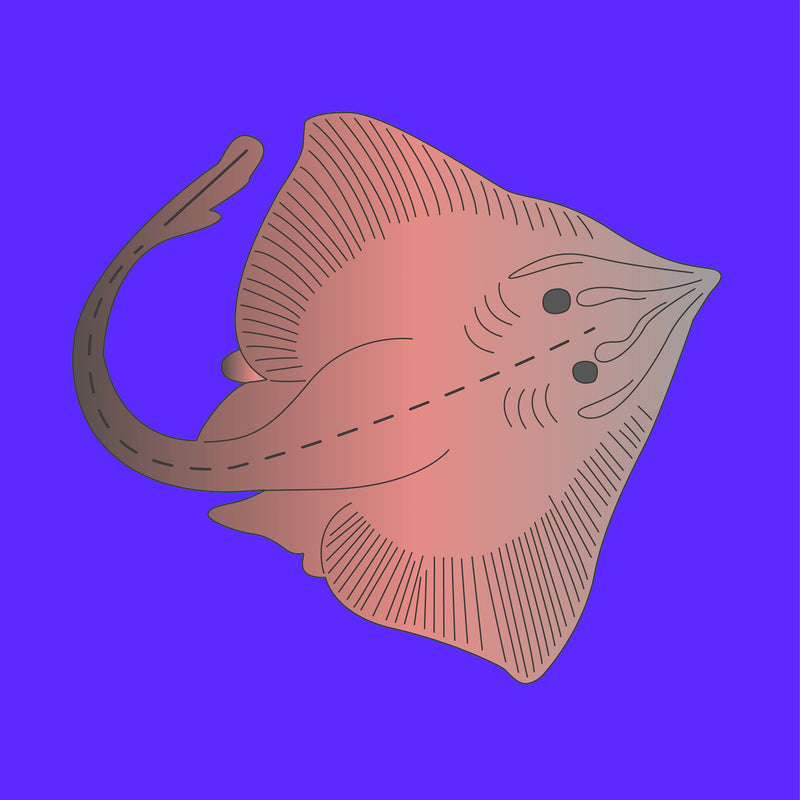 Wild skate wing