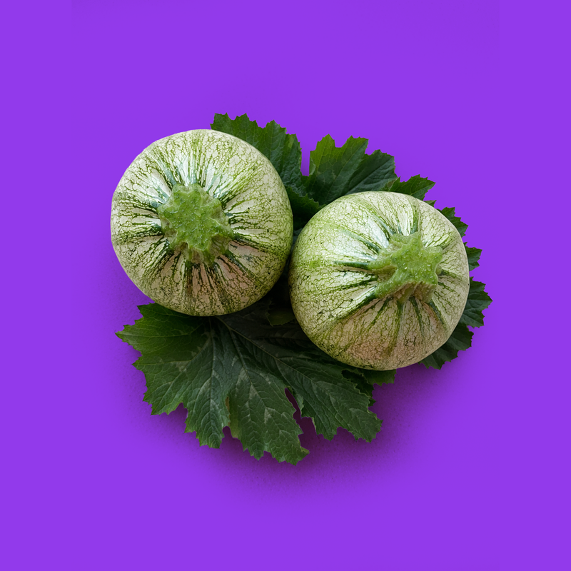 Tondo di Nizza courgette