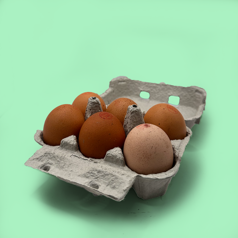 Organic eggs