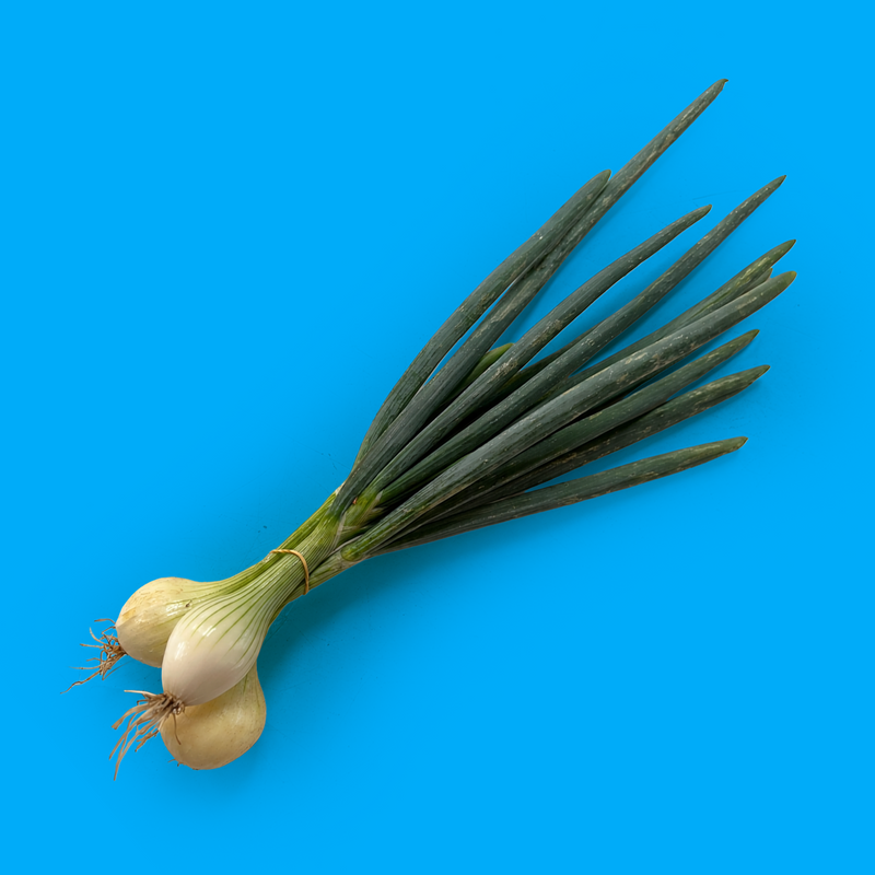 Organic green spring onions
