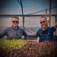 Biodynamic Organic Pea Shoots