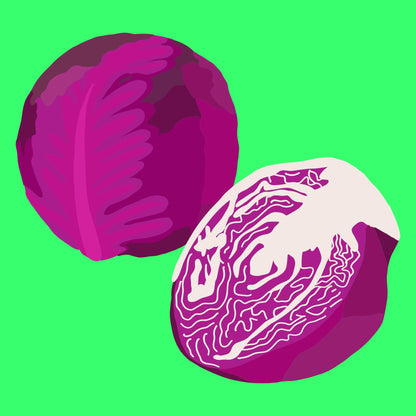 Organic red cabbage