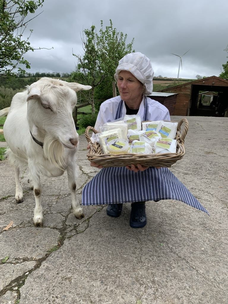 Ash Coated Goat Cheese