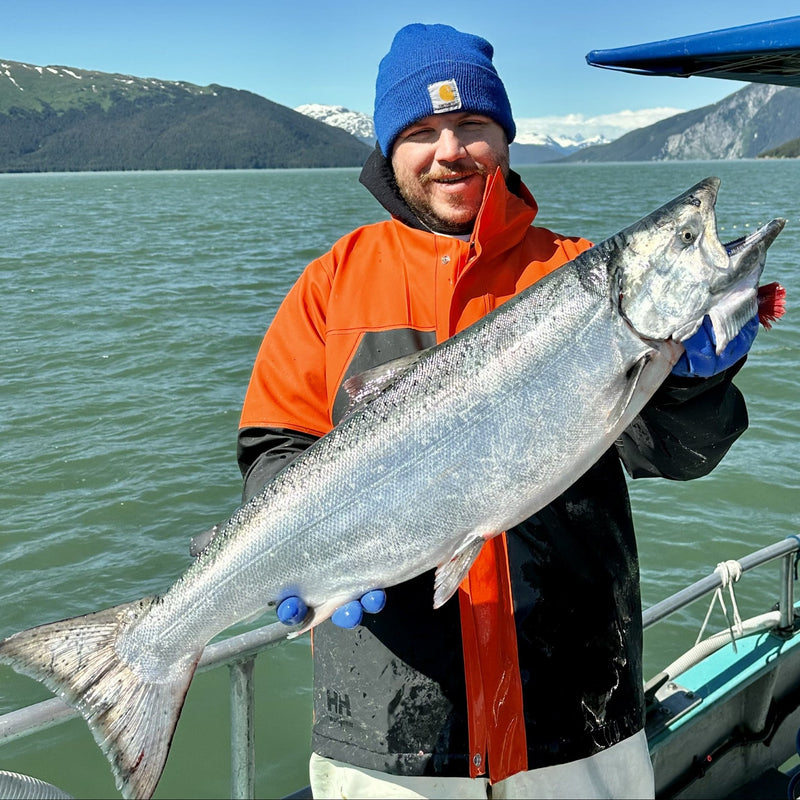 Frozen line caught wild coho Alaskan salmon fillets