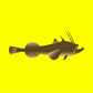 Wild Monkfish